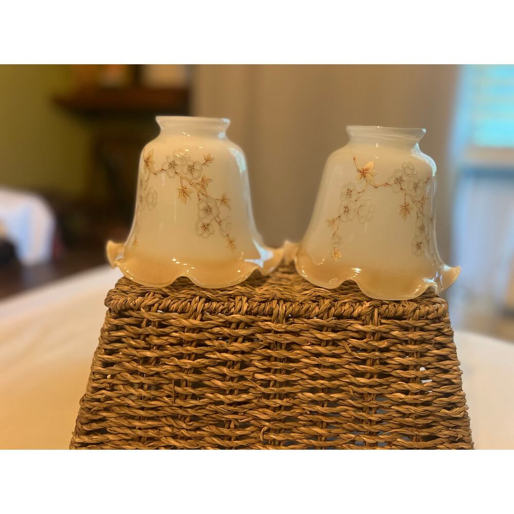 Vintage Floral Milk Glass Lamp Shades Pair | Grandmacore Cottagecore Shabby Chic